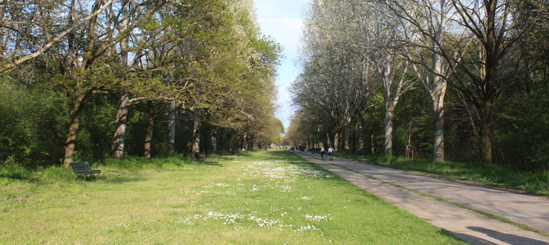 riqualificazione del parco nord milano