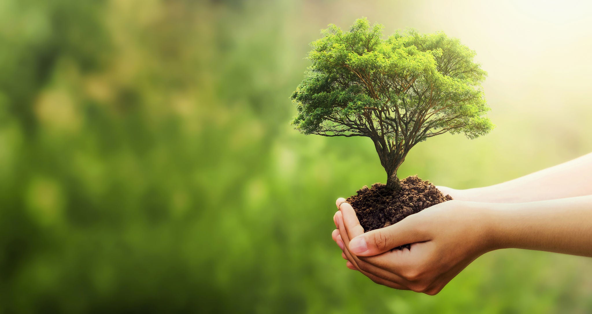 People & Planet First